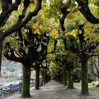 Day Visit to Lugano