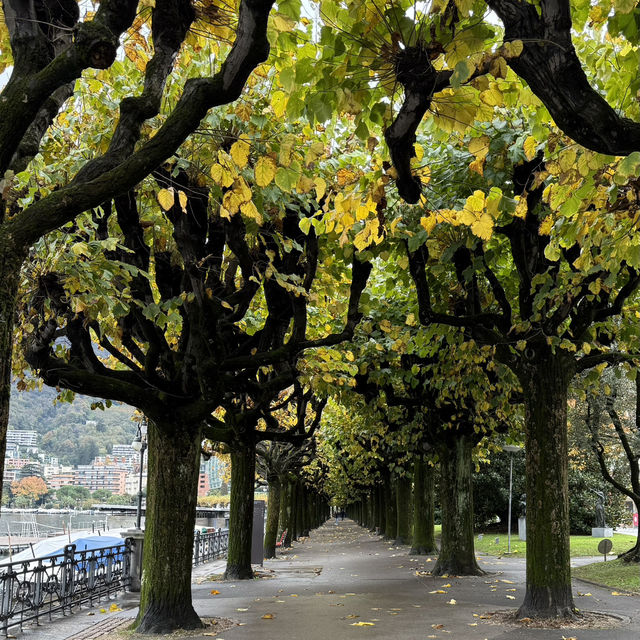 Day Visit to Lugano