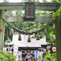 【栃木】紫陽花の時におすすめ神社
