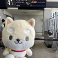 タイゾウ保護センターへ最愛のゾウさん達に会いに行く1