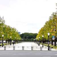 東京景點｜東京車站走九回，購物、美食、觀景一日遊.....這篇一定要收藏