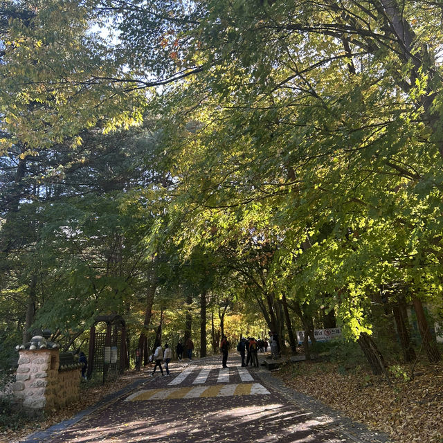 가을 단풍 절정인 속리산 문장대 🍁