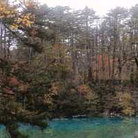 日本/東北/日本九寨溝~五色沼 賞楓的好地方~風景很美