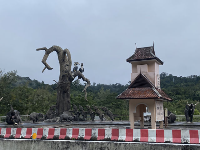 ป่าในเมือง ประตูสู่อันดามัน🐘