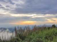 จุดชมวิวสวนยาหลวง จ.น่าน
