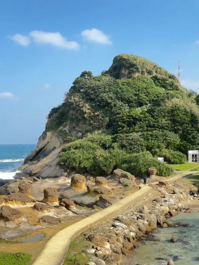 Nature, look what you’ve done! Exploring the Wonders of Yehliu Geopark