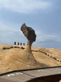 Nature, look what you’ve done! Exploring the Wonders of Yehliu Geopark