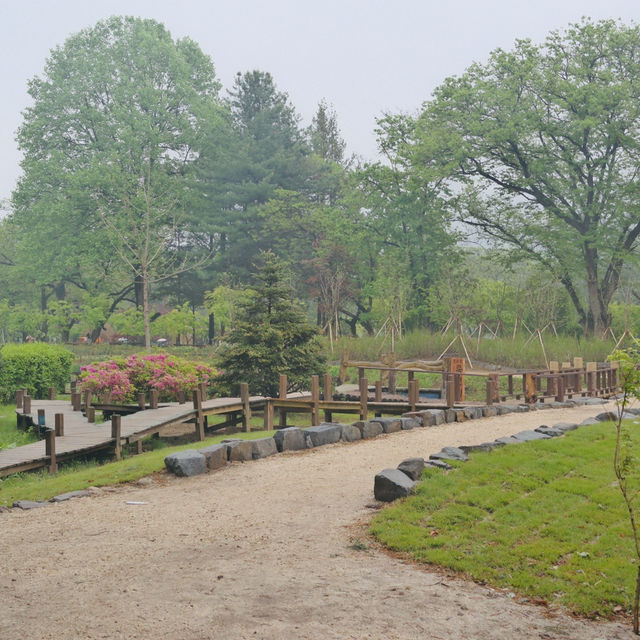 Romance & Scenic Charm: My Magical Day at Nami Island!