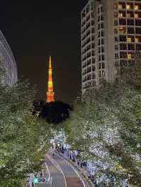 東京之旅｜六本木的聖誕節點燈！提早感受聖誕氣氛