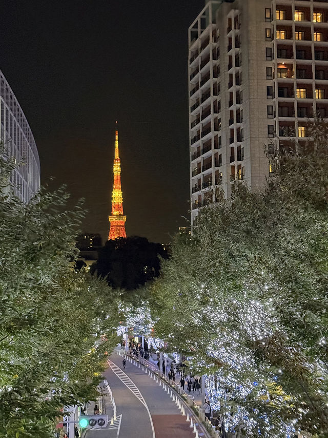 東京之旅｜六本木的聖誕節點燈！提早感受聖誕氣氛