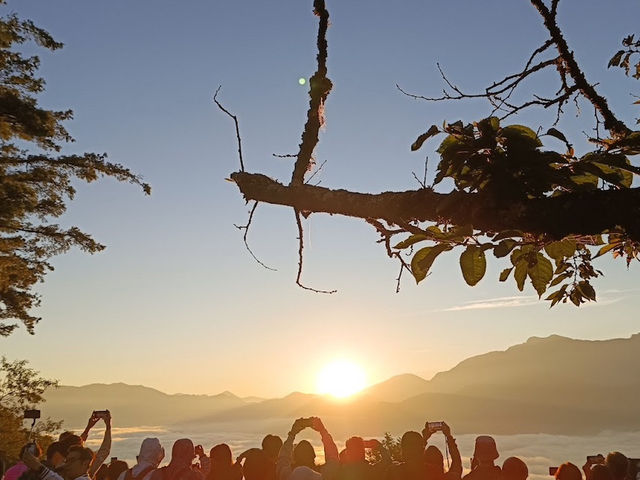 祝山觀日平臺✨阿里山的日出奇觀🌅