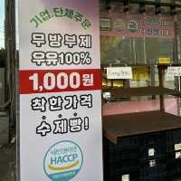 모든 빵을 1000원에 구매할 수 있는 곳?
