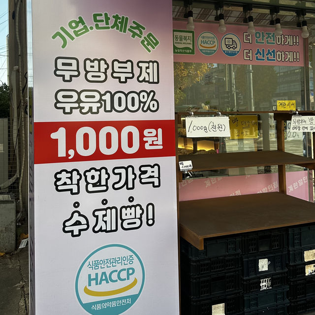 모든 빵을 1000원에 구매할 수 있는 곳?