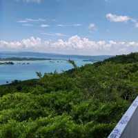 Mt. Arashiyama Observation Deck (嵐山展望台)