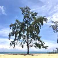 The Charm of Racharak Beach @Panare