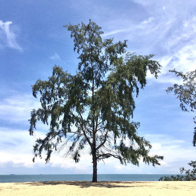 The Charm of Racharak Beach @Panare