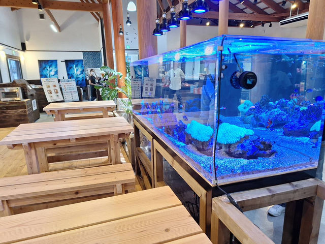 イルカ🐬島