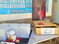 宮崎絕美海岸線 鬼の洗濯板與青島神社