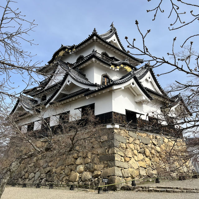国宝【彦根城🏯】