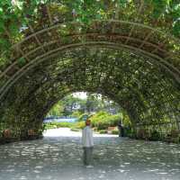 FlowerLand Pattaya 🌹💐