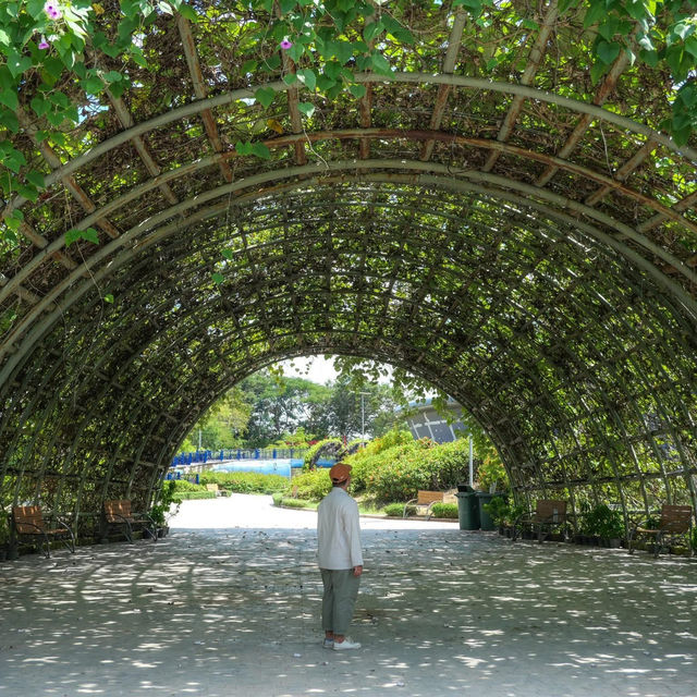 FlowerLand Pattaya 🌹💐