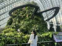 Eco Wonders: A Cloud Forest Expedition