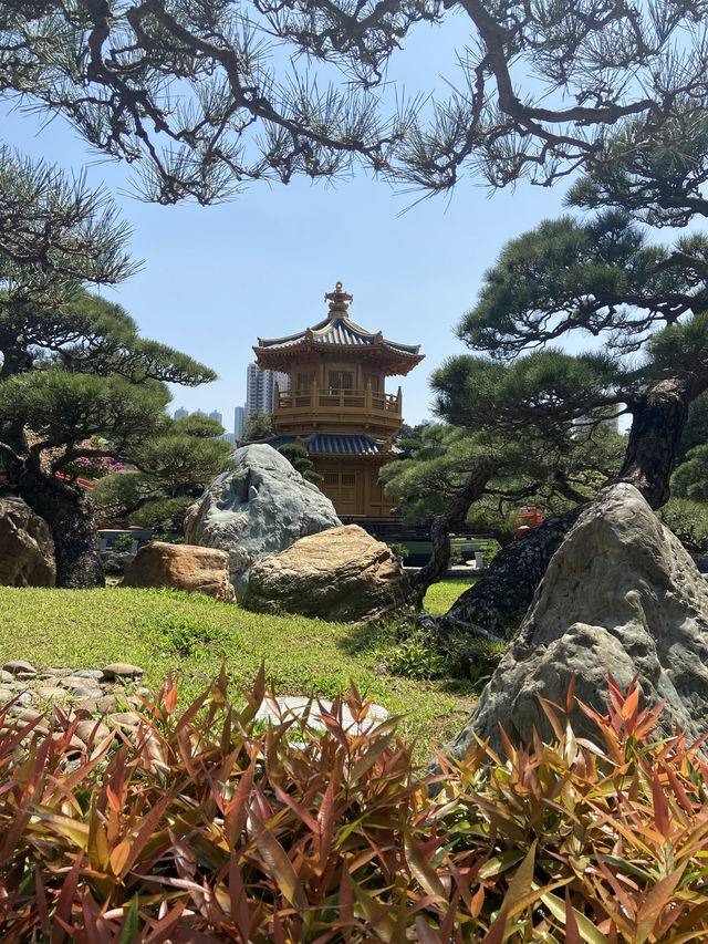 Nan Lian Garden สวนสาธารณะที่สวยที่สุดในฮ่องกง