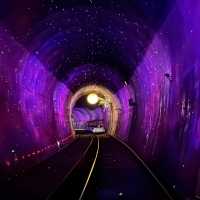 A Breathtaking Ride at Gangchon Rail Park!