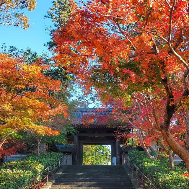 Visit Engaku-ji - An ancient temple in the heart of Kamakura
