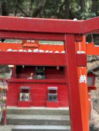 CMで話題となった光の道  3つの日本一がある神社