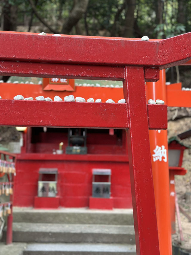 CMで話題となった光の道  3つの日本一がある神社