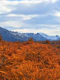 ภาพวิวระหว่างทางของการเดิน Hiking Fitz Roy