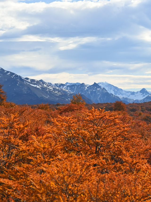 ภาพวิวระหว่างทางของการเดิน Hiking Fitz Roy