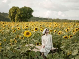 Visit the Sunflower Fields to Celebrate the End of the Year