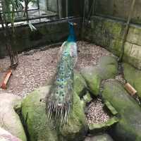 Enjoy This moment at Tambun Lost World
