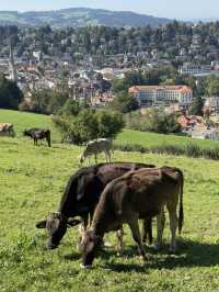 Escape to tranquility at Drei Weieren in St. Gallen, Switzerland