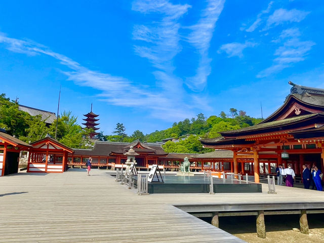 🇯🇵【広島】世界文化遺産！厳島神社in宮島✨