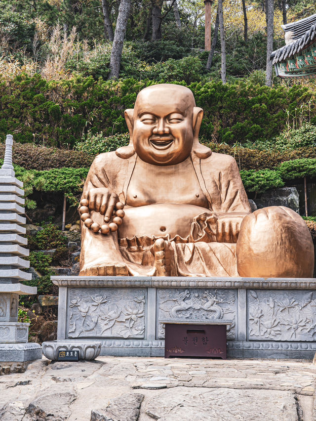 【韓国】釜山🇰🇷まるで竜宮城🏰🐉
