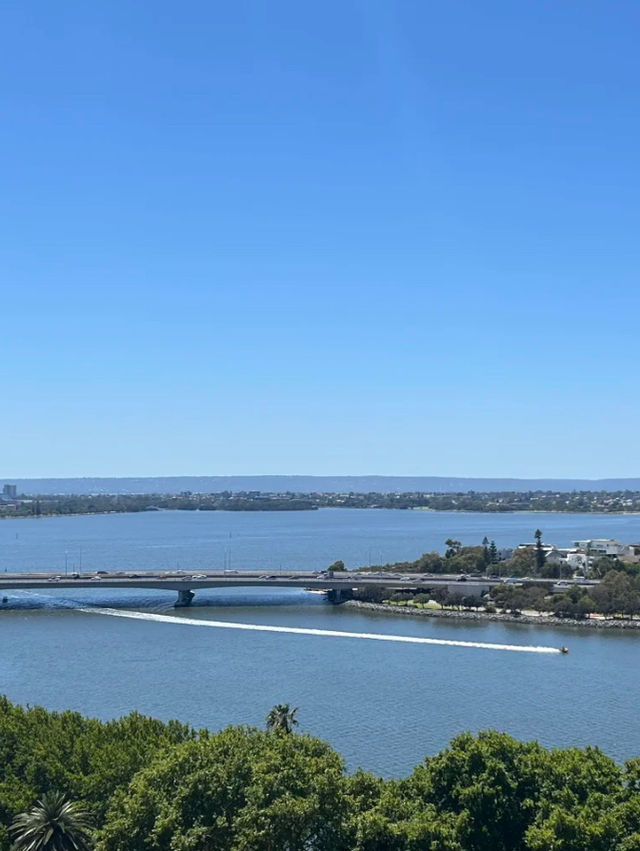 Perth 必去兩大景點～Perth 偶遇周杰倫同款藍色小屋 💙 Kings Park and Botanic Garden 國王公園
