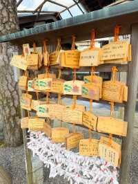 日本景點🇯🇵特式水上佛堂🩵