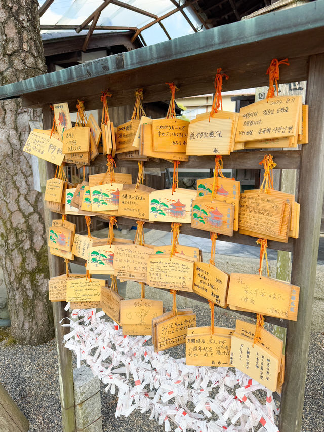 日本景點🇯🇵特式水上佛堂🩵