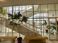 In Awe of Alvar Aalto’s Genius: A Visit to the Central City Library