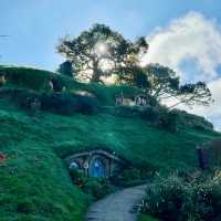Stepping Into Middle-earth: My Magical Visit to Hobbiton Movie Set