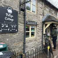 Picturesque accommodation and cottage