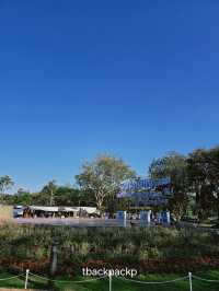 งานดอกไม้งานปีที่ 21 หาดเชียงราย ท่ามกลางสายหมอก