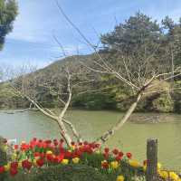 힐링이 필요할 땐 통영 ‘산유골 수목공원’ 🌳✨
