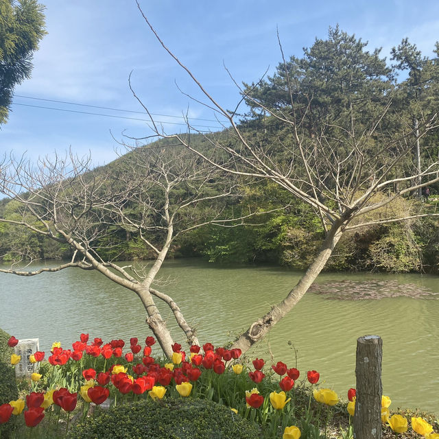 힐링이 필요할 땐 통영 ‘산유골 수목공원’ 🌳✨
