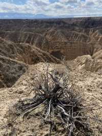 Moon Canyon: Kazakhstan’s Hidden Gem