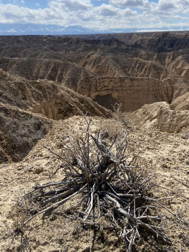 Moon Canyon: Kazakhstan’s Hidden Gem