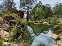 Beauty of National Rhododendron Gardens